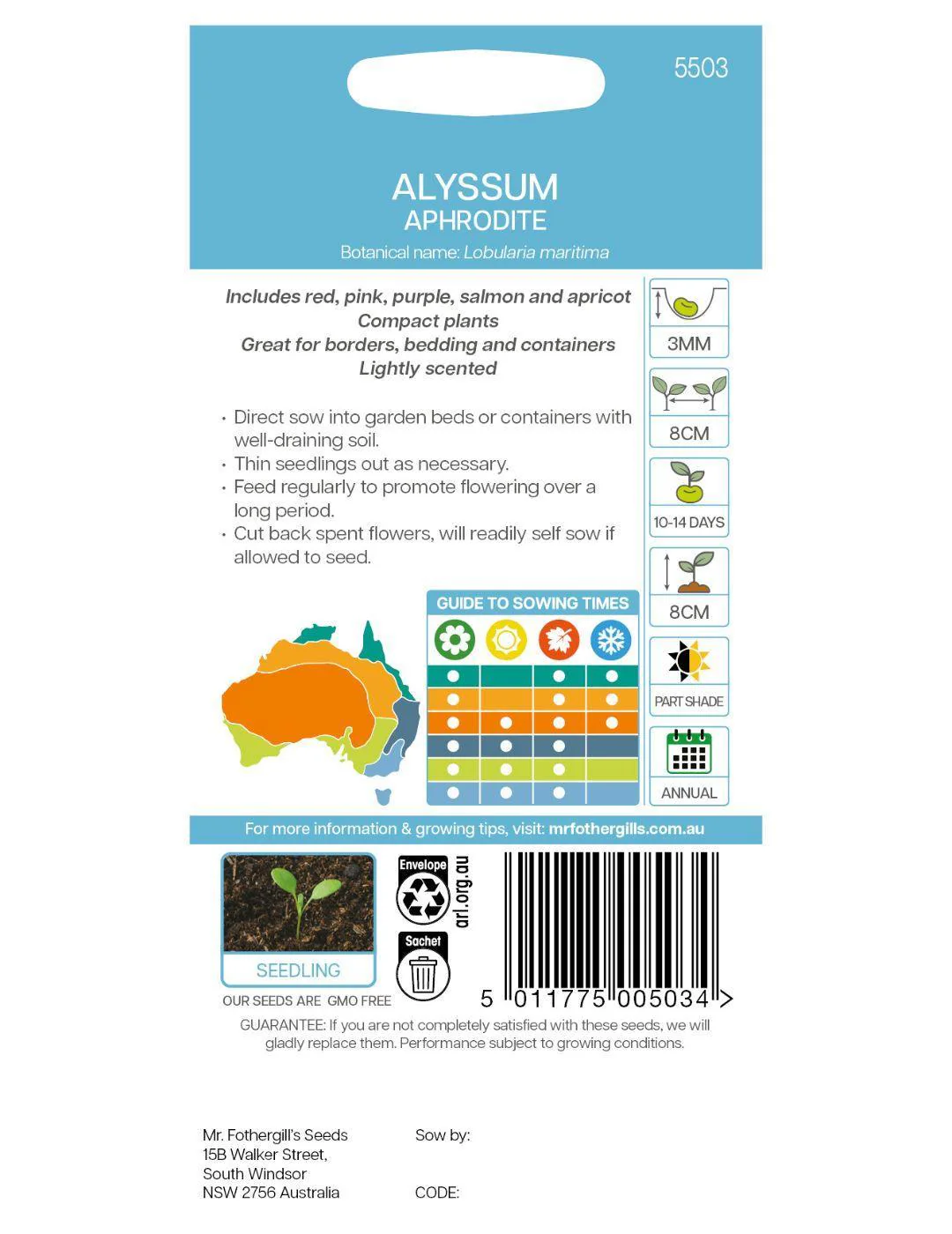 Alyssum Aphrodite - Image 3