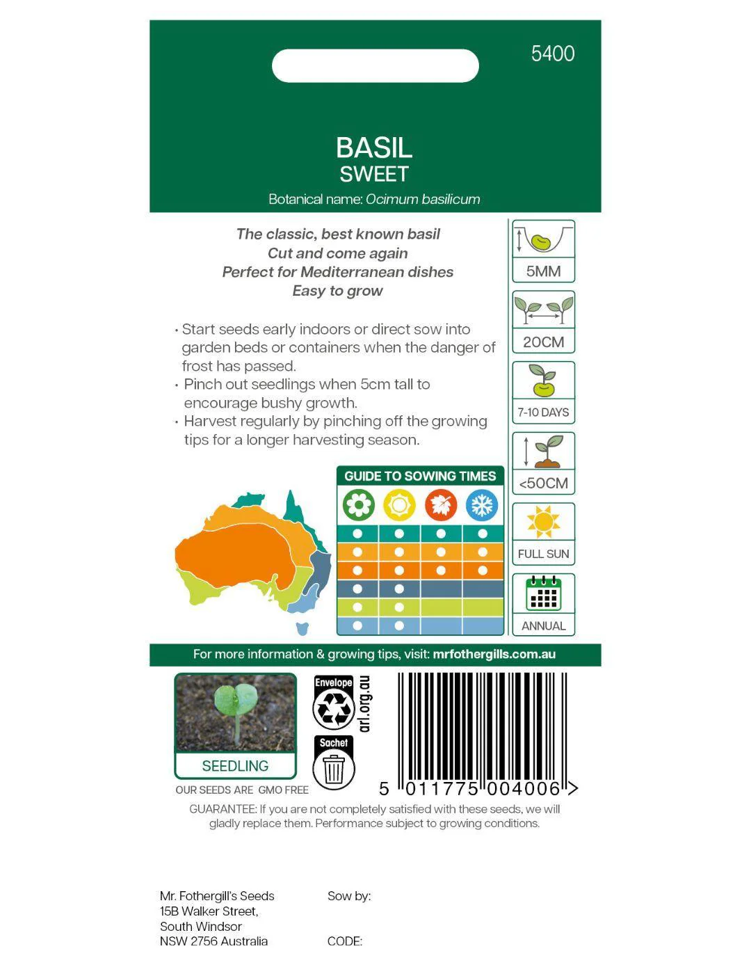 Basil Sweet Genovese - Image 3