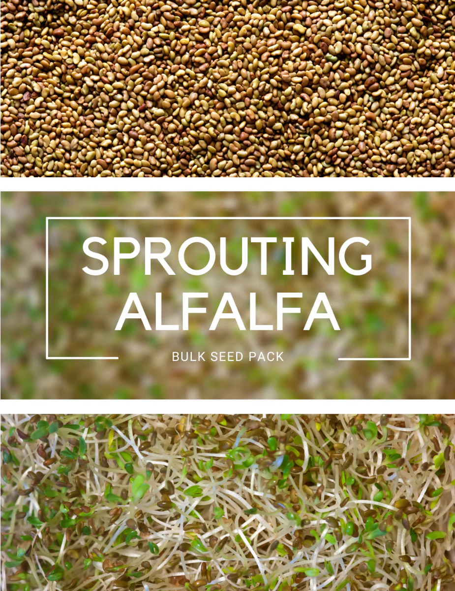 Sprouting Alfalfa - Sprouting BULK BAG - NOT AVAILABLE TO WA