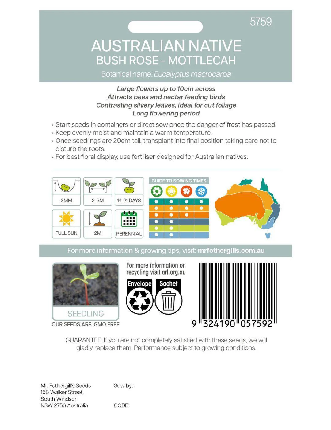 Bush Rose WILDFLOWER seeds - NOT AVAILABLE TO WA/TAS/SA - Image 3