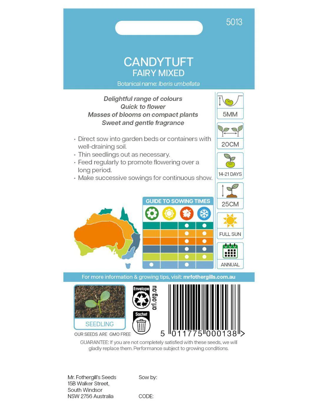 Candytuft Fairy Mixed - Image 3