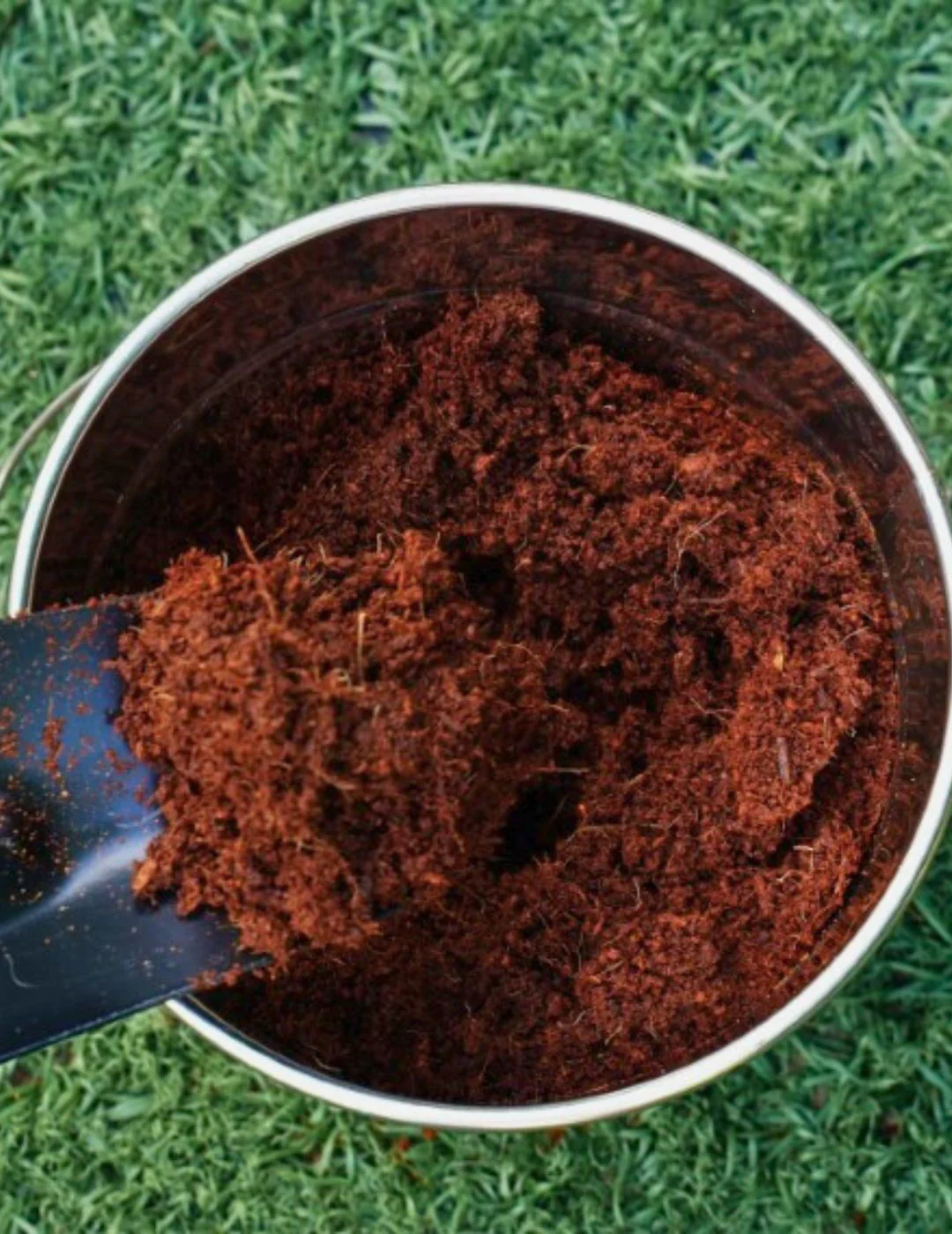 Coco Fibre Enriched Seed Starting Mix 10L - Image 5