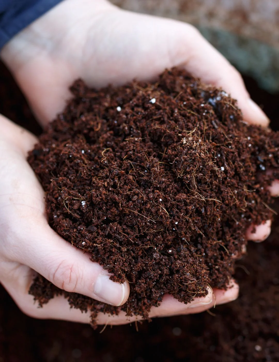 Coco Fibre Enriched Seed Starting Mix 10L - Image 7