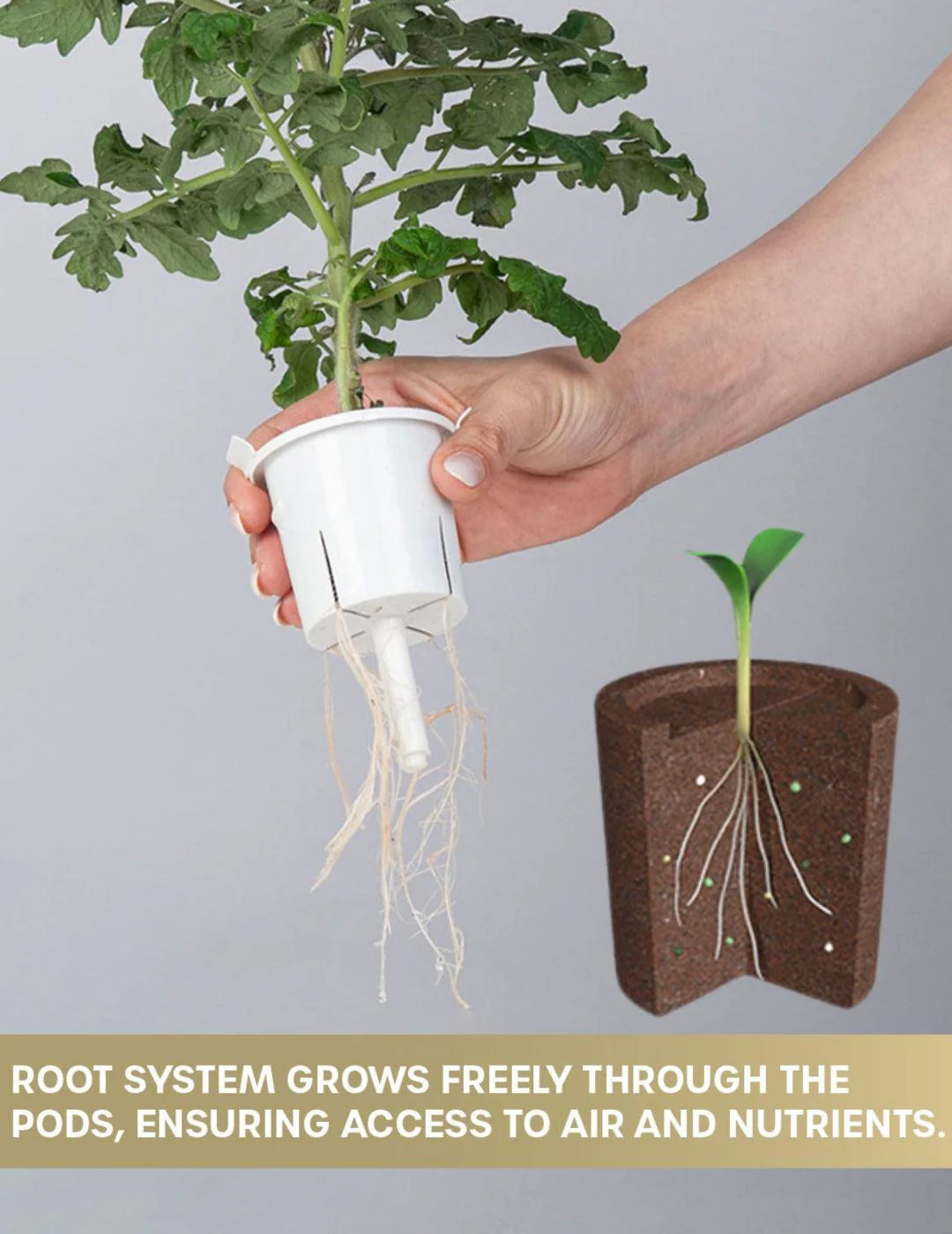 HydroGarden Elite All-In-One Grow Kit - Image 7