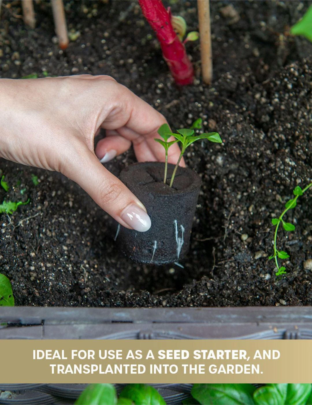 HydroGarden Elite All-In-One Grow Kit - Image 11