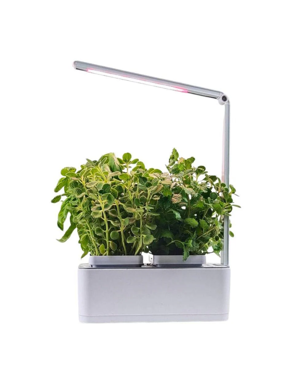 HydroGarden Original - Image 3