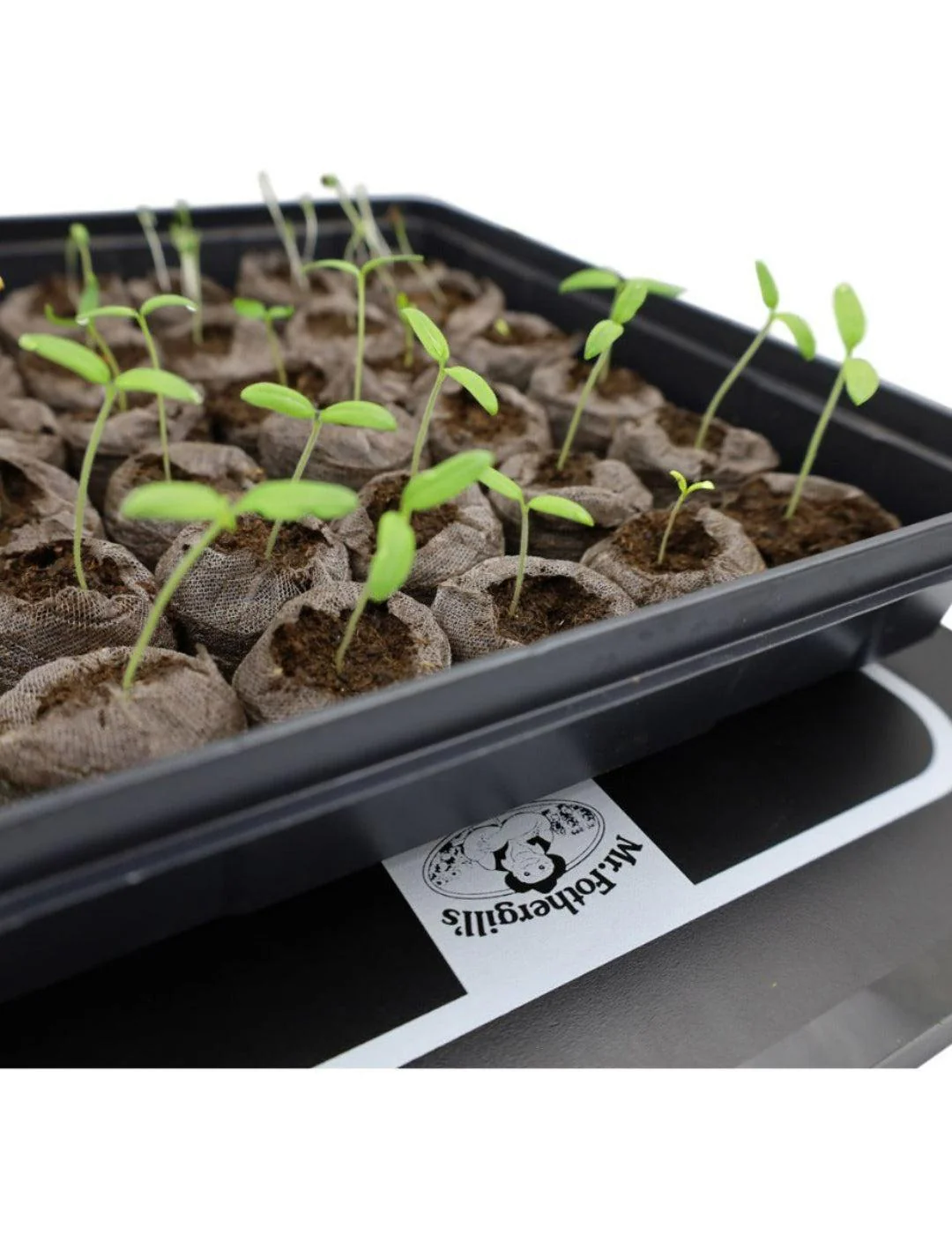 Jiffy Greenhouse (16 x 50mm pellets) - Image 3