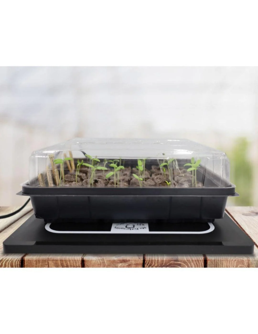 Jiffy Greenhouse (16 x 50mm pellets) - Image 4