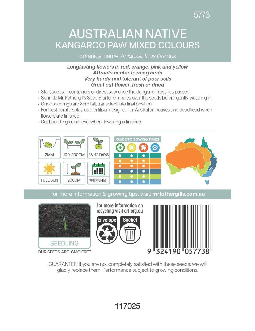 Kangaroo Paw Mixed Colours Wildflower Seeds - Image 3