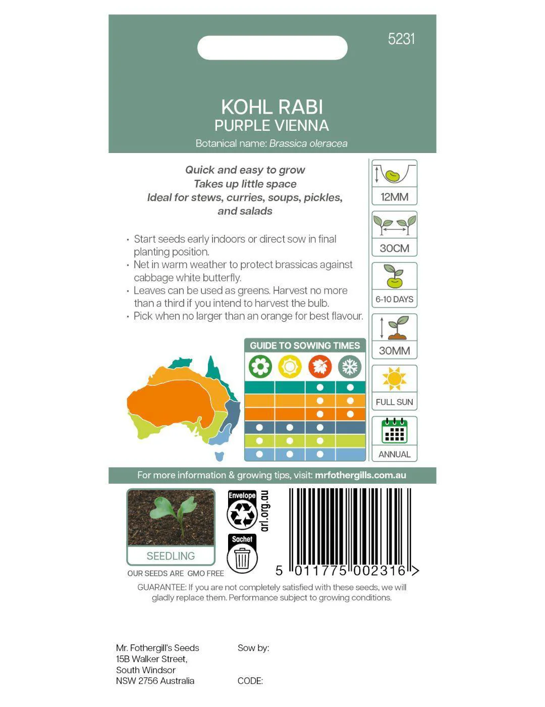 Kohl Rabi Purple Vienna - Image 3