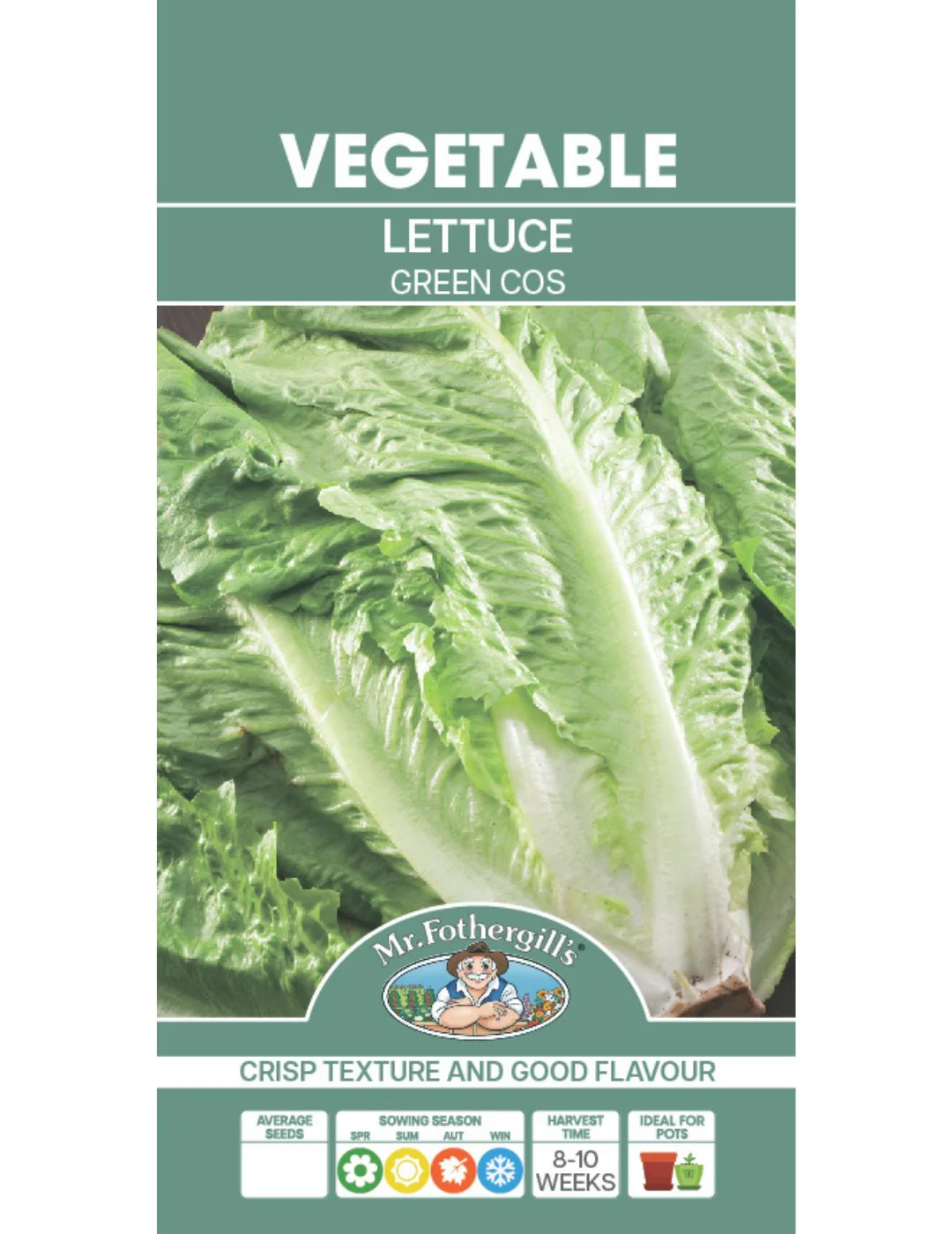 Lettuce Green Cos - Image 3