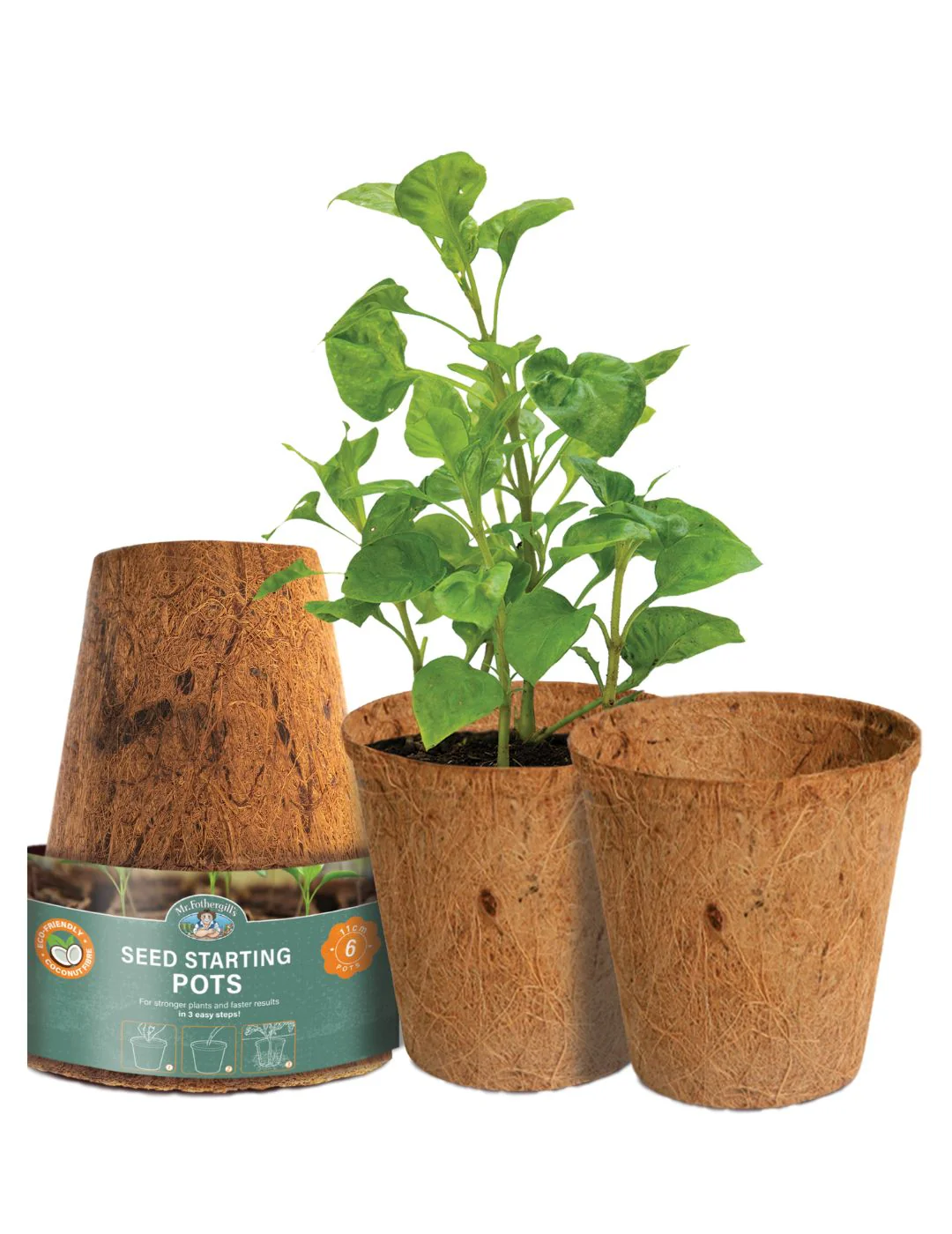 Mr Fothergill's 11cm Coco Fibre Pot (6 Pots) - Image 5