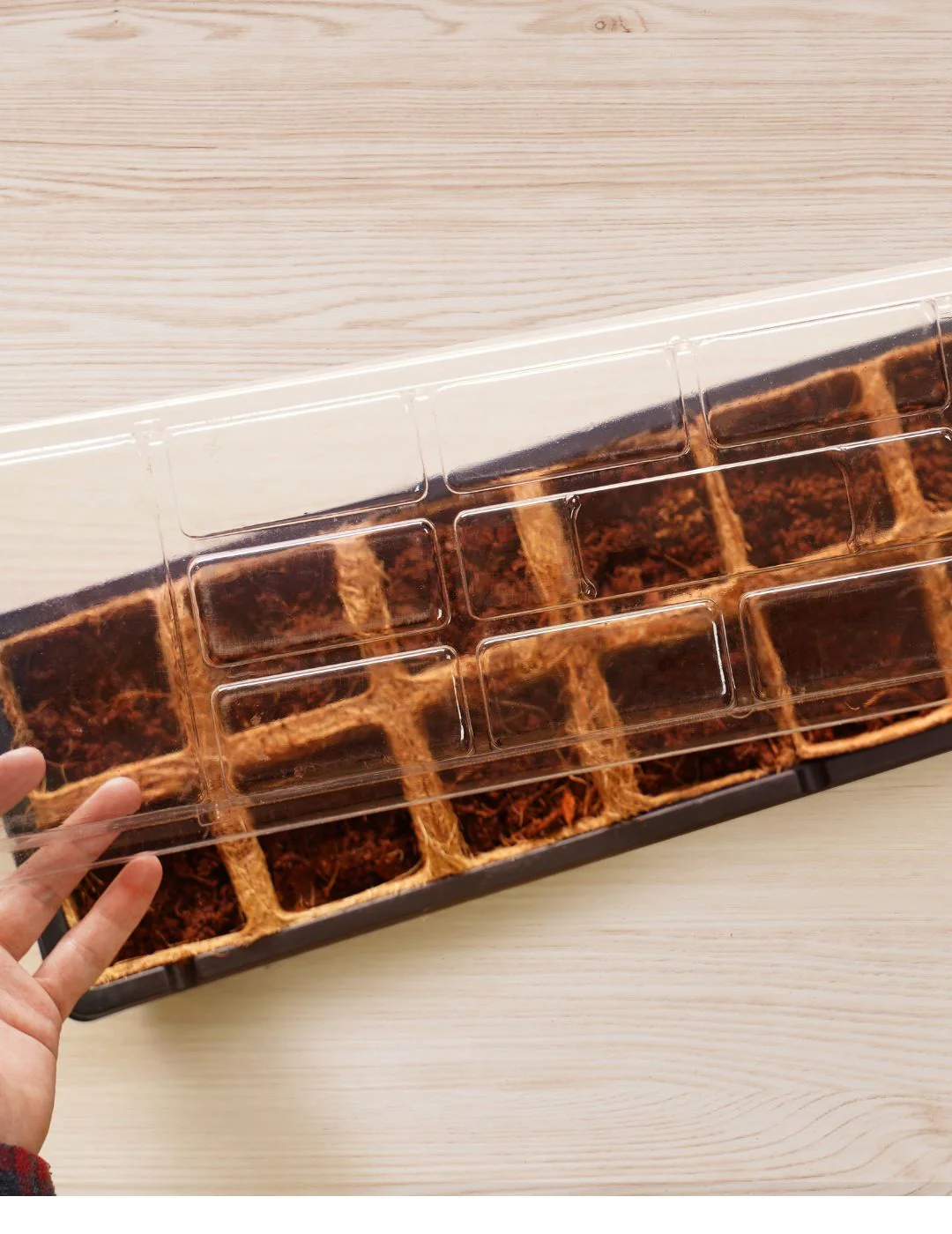 Mr Fothergill's 6cm Coco Fibre Pot Greenhouse Kit (16 Pots) - Image 8