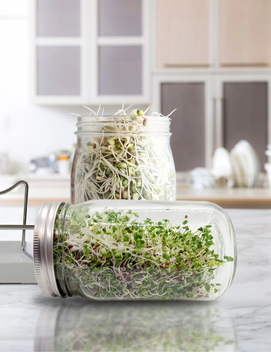 Mr Fothergill's Twin Sprouter Jar Grow Kit - Image 5