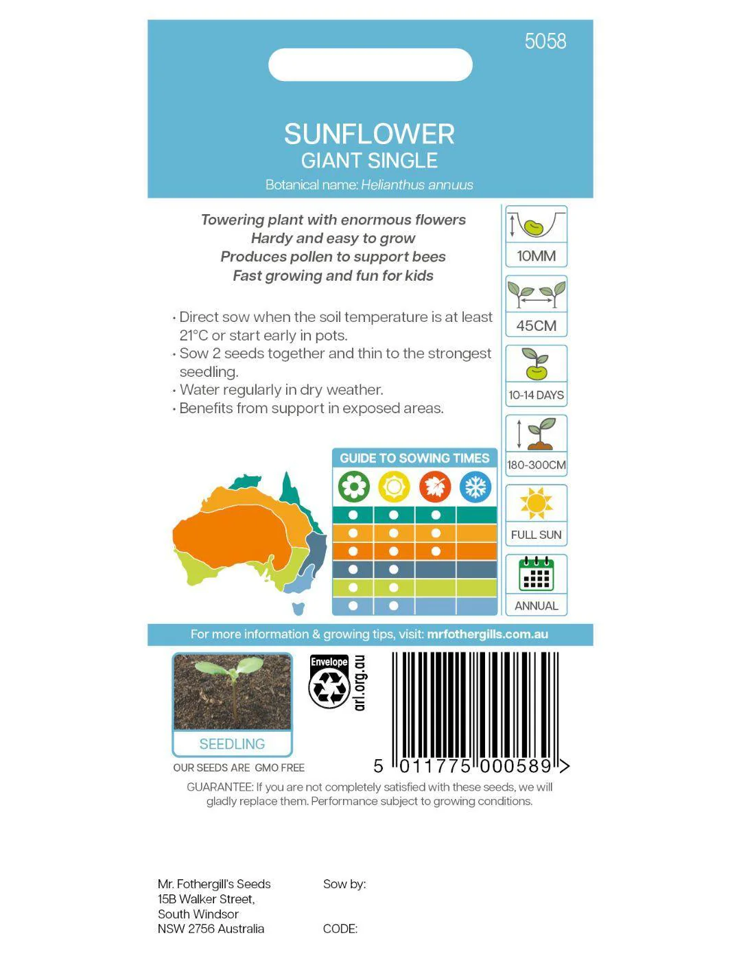 Sunflower Giant Single - Image 3