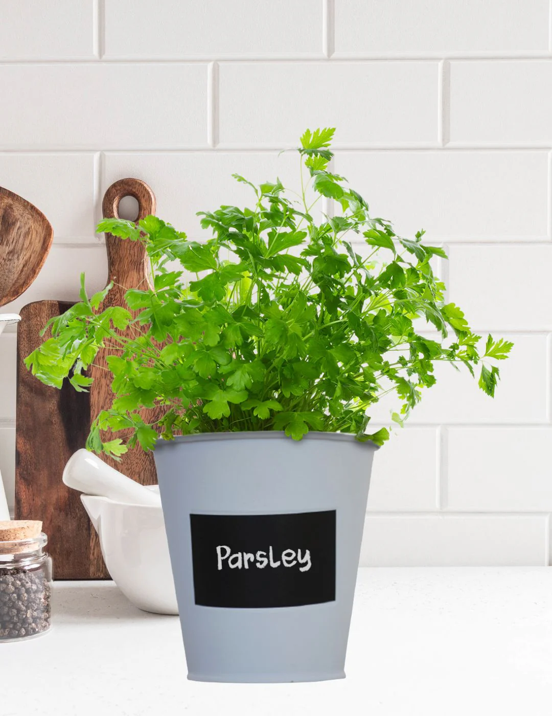 Parsley - Chalkboard Grow Kit Tin - Image 4