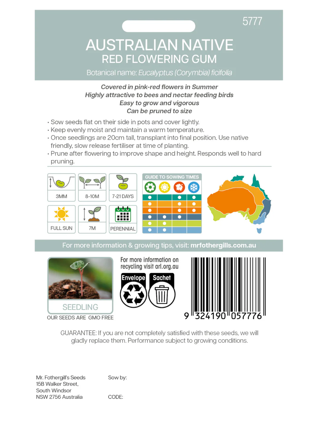 Red Flowering Gum WILDFLOWER - NOT AVAILABLE TO WA/TAS/SA - Image 3