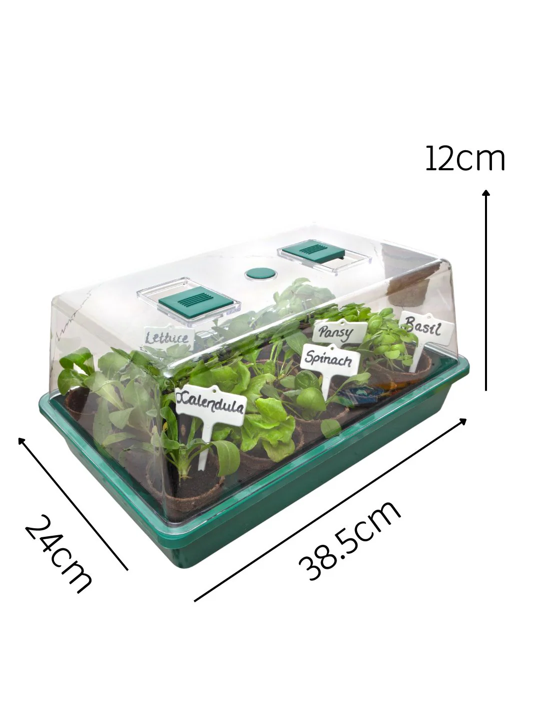 Seed and Cutting Greenhouse - Image 4