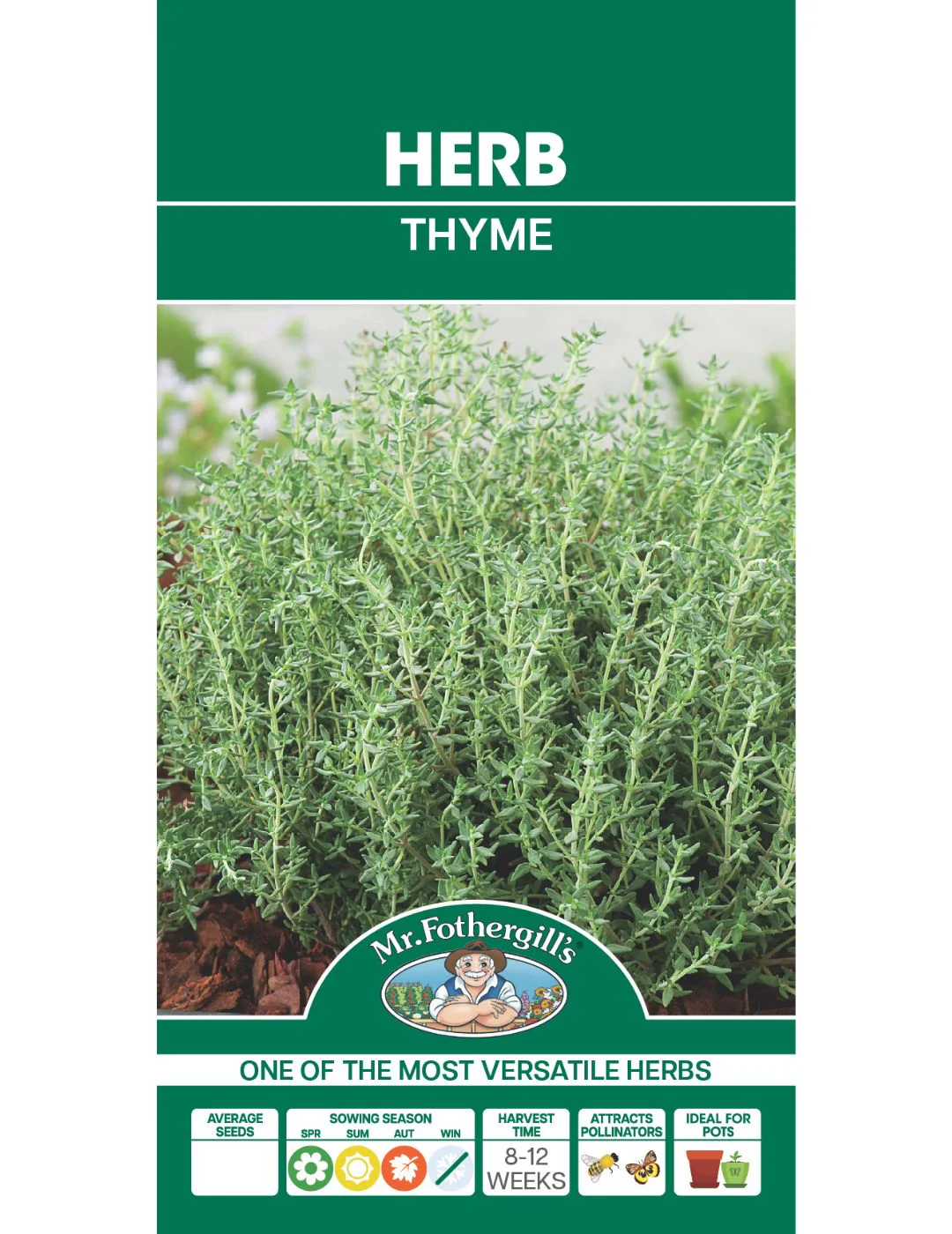 Thyme Seeds - Image 2