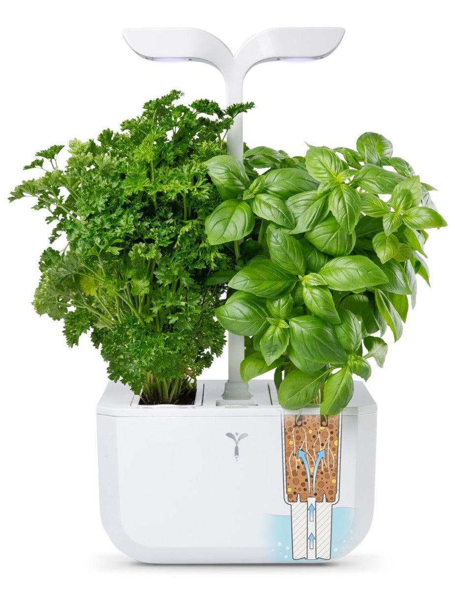 Véritable® EXKY Indoor Garden - CLASSIC - Image 7